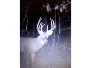 Property photo 20 - LAND AUCTION - 138+/- ACRES OFFERED IN 3 TRACTS IN SPENCER COUNTY, INDIANA